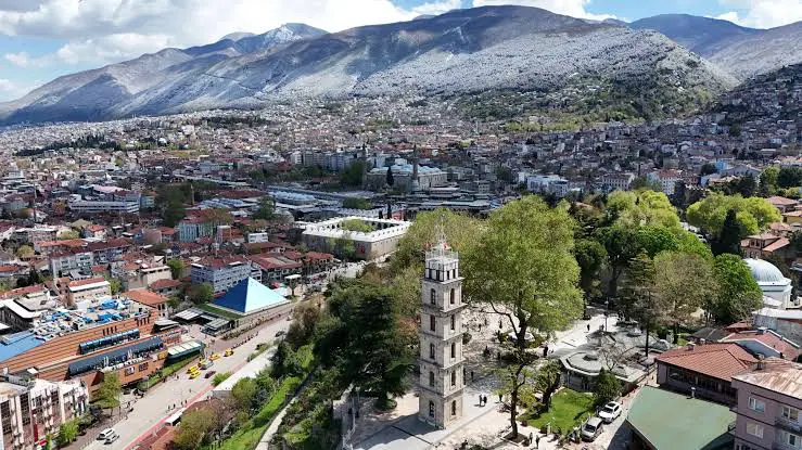 Bursa’da Ev Temizliğinin Gizli Kahramanı: Halı Yıkamada Doğru Bilinen Yanlışlar ve Bölgesel Çözümler